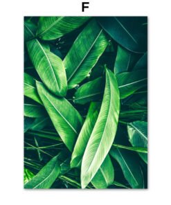 "BotanicView" Canvas – Zidna umjetnost na platnu