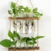 "NatureGrow" Hanging Station – Zidni viseći terarij za biljke