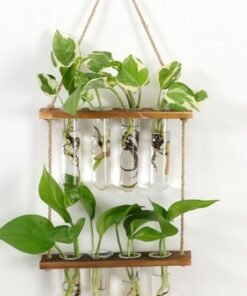 "NatureGrow" Hanging Station – Zidni viseći terarij za biljke