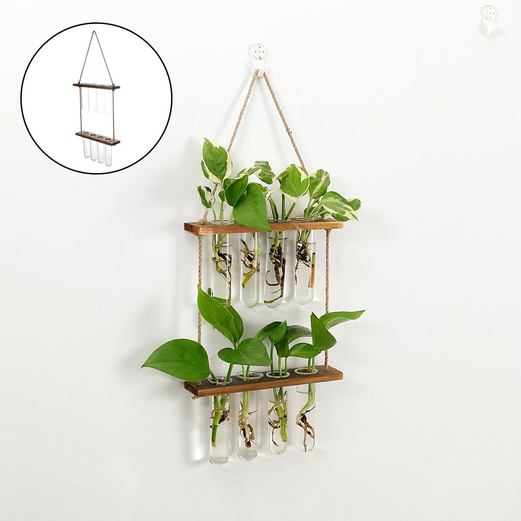 "NatureGrow" Hanging Station – Zidni viseći terarij za biljke
