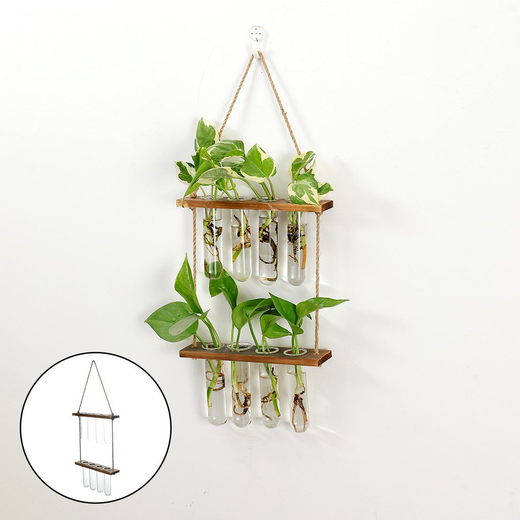 "NatureGrow" Hanging Station – Zidni viseći terarij za biljke