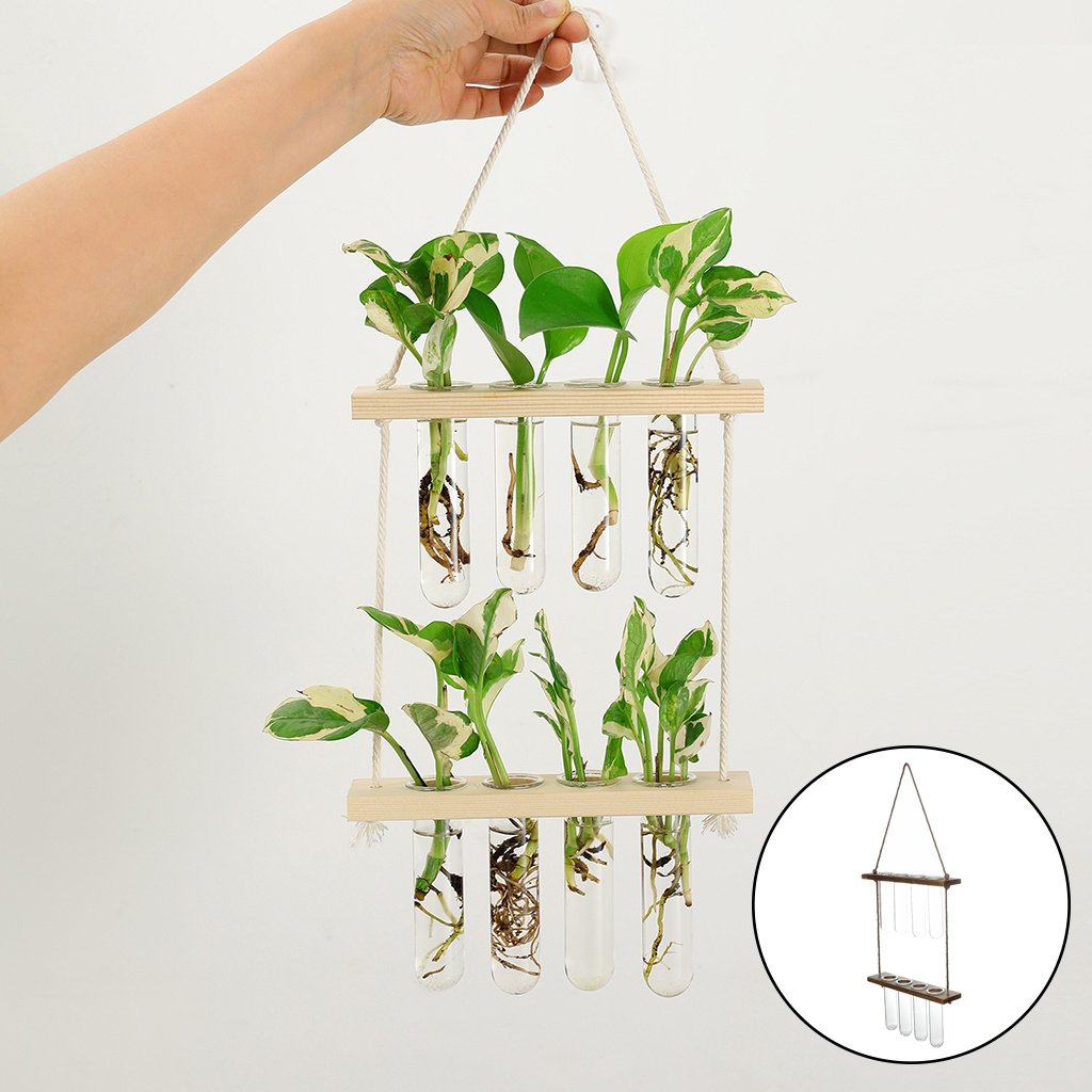 "NatureGrow" Hanging Station – Zidni viseći terarij za biljke