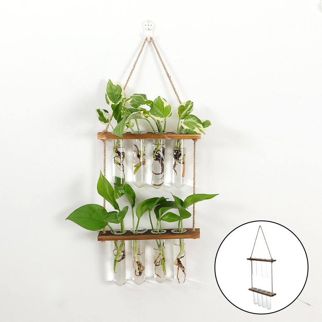 "NatureGrow" Hanging Station – Zidni viseći terarij za biljke
