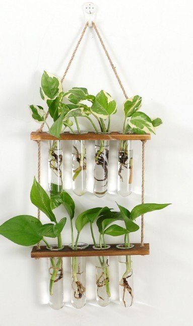 "NatureGrow" Hanging Station – Zidni viseći terarij za biljke