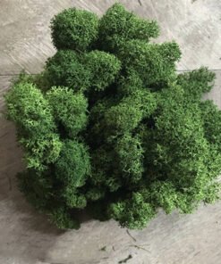 “Moss Wall Decoration” – Dekorativna umjetna mahovina za zidove, aranžmane i kreativne projekte