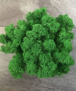 “Moss Wall Decoration” – Dekorativna umjetna mahovina za zidove, aranžmane i kreativne projekte