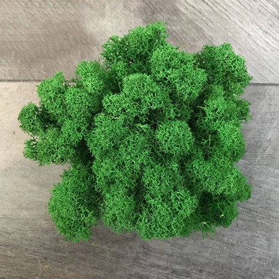 “Moss Wall Decoration” – Dekorativna umjetna mahovina za zidove, aranžmane i kreativne projekte