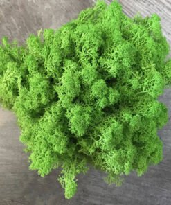 “Moss Wall Decoration” – Dekorativna umjetna mahovina za zidove, aranžmane i kreativne projekte