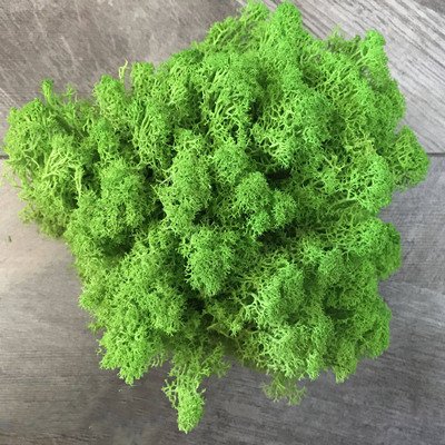 “Moss Wall Decoration” – Dekorativna umjetna mahovina za zidove, aranžmane i kreativne projekte