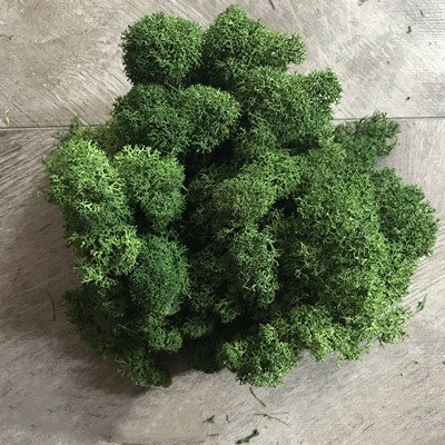 “Moss Wall Decoration” – Dekorativna umjetna mahovina za zidove, aranžmane i kreativne projekte